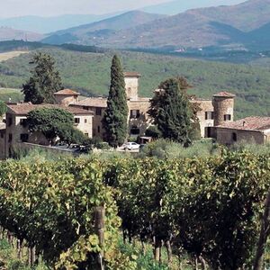 Veranstaltung: Chianti: degustazione di vino e olio d'oliva con tour guidato + viaggio di andata e ritorno da Firenze, Chianti Wine Tours in Florence