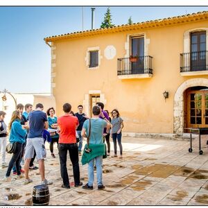 Veranstaltung: ArtCava: Taller guiado de Cava + Traslado ida y vuelta desde Barcelona, ArtCava – Celler Can Batlle in Avinyonet del Penedès