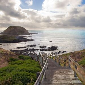 Veranstaltung: Phillip Island Penguin Parade & Moonlit Sanctuary Conservation Park, Phillip Island Nature Parks in Summerlands