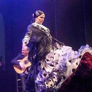 Veranstaltung: Teatro Flamenco Málaga: Espectáculo Flamenco, Malaga Flamenco Shows in Málaga