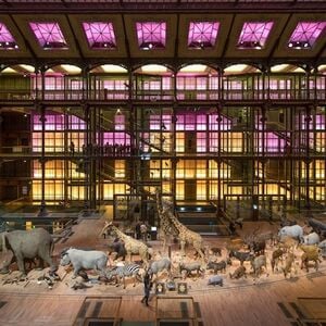 Veranstaltung: Grande Galerie de l'Évolution : Billet coupe-file, Grande Galerie de l'Évolution in Paris