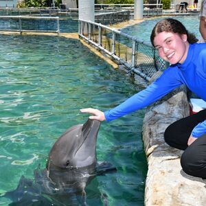 Veranstaltung: Miami Seaquarium: Meet A Dolphin + Park Admission, Miami Seaquarium in Miami