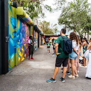 Veranstaltung: Wynwood Walls: General Admission + Small-Group Guided Tour, Wynwood Walls in Miami