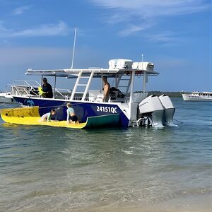 Veranstaltung: Surfers Paradise to Wavebreak Island Pelican Cruise + Picnic, Lionel Perry Park in Surfers Paradise