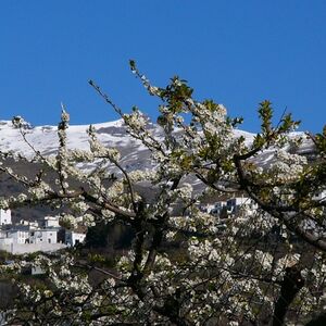 Veranstaltung: Granada: Excursión a la Alpujarra con almuerzo, Granada Food Tours in Granada