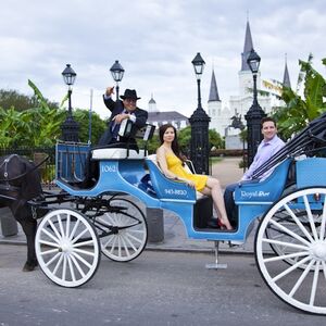 Veranstaltung: French Quarter by Mule Drawn Carriage: 60-Minute Tour, City Cards New Orleans in New Orleans