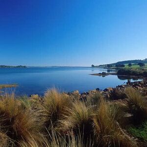 Veranstaltung: Phillip Island: Churchill Island Entry Ticket, Phillip Island Nature Parks in Summerlands