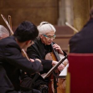 Veranstaltung: St. Stephen's Cathedral: Christmas Concerts, St. Stephen's Cathedral in Wien