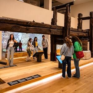 Veranstaltung: Vinseum - Visita Libre Y Copa De Vino, Vinseum: Museu De Les Cultures Del Vi De Catalunya in Vilafranca del Penedès