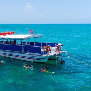 Veranstaltung: Key West: Dolphin Watching Eco Tour, Key West Water Activities in Key West