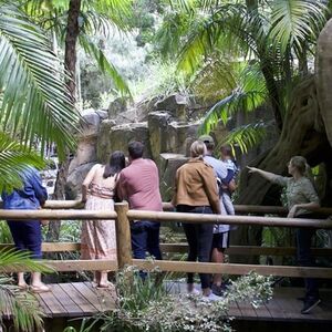 Veranstaltung: Tamborine Mountain: Hop-on Hop-off Bus Tour + Glow Worm Caves, Brisbane Water National Park in Brisbane