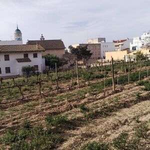 Veranstaltung: Paseo en velero en Sitges, con visita a bodega con degustación, Port de Sitges - Aiguadolç in Barcelona