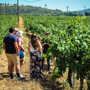 Veranstaltung: Montserrat: Excursión en grupo reducido desde Barcelona con cata de vinos ecológicos, Day Trips from Barcelona in Barcelona