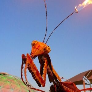 Veranstaltung: Fremont Street: After Dark Walking Tour, Las Vegas in las vegas