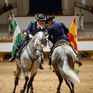 Veranstaltung: Real escuela andaluza del arte ecuestre: Visita completa, Royal Andalusian School of Equestrian Art in Jerez de la Frontera