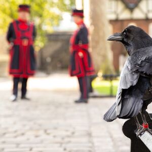 Veranstaltung: Tower of London: Guided Tour + Private Audience with Beefeater, Tower of London in London