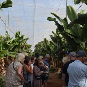 Veranstaltung: Tenerife: Visita a Bodegas, Cata de Vinos, Almuerzo y Traslados, Tenerife Wine Tasting in Tenerife