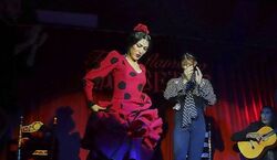 Veranstaltung: Sevilla: Espectáculo Flamenco con Cena, Tablao Flamenco Las Setas in Sevilla