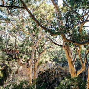 Veranstaltung: Margaret River: Lake Cave Guided Tour, Lake Cave in Forest Grove