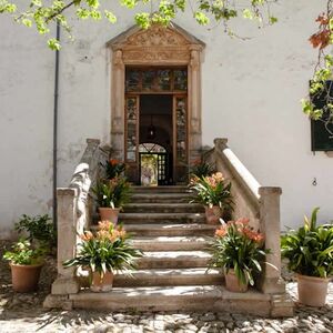 Veranstaltung: Jardines de Alfabia: Entrada sin colas, Jardines de Alfabia in Majorca