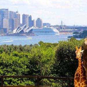 Veranstaltung: Taronga Zoo Sydney: Entry Ticket, Taronga Zoo in Mosman