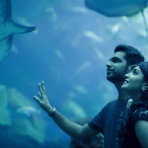 Veranstaltung: Dubai Aquarium & Underwater Zoo: Explorer Experience, Dubai Aquarium & Underwater Zoo in Dubai