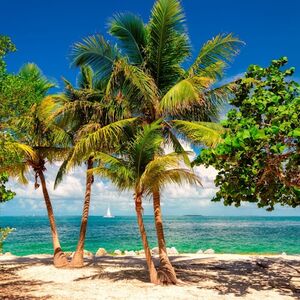 Veranstaltung: Key West: Day Trip from Miami, Key West Day Trips from Miami in Miami