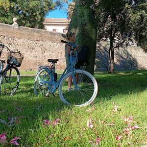 Veranstaltung: Valencia: Gran Ciudad Visita Guiada Privada, Valencia Bike Rental in València