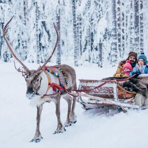 Veranstaltung: Snowmobile & Animals Day Tour, Lapland Winter Activities in Rovaniemi