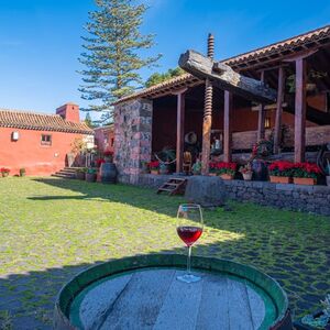 Veranstaltung: Museo del Vino de Tenerife: Visita y degustación, Tenerife Wine Tasting in Tenerife