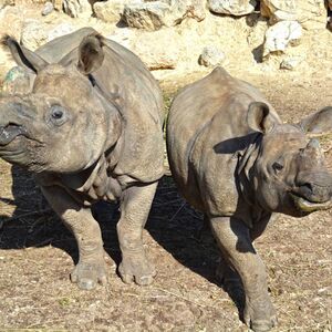 Veranstaltung: Terra Natura Benidorm: Entrada sin colas, Terra Natura Benidorm in Benidorm