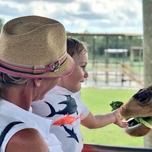Veranstaltung: Lion Country Safari: Drive Through Safari + Adventure Park, Lion Country Safari in Loxahatchee