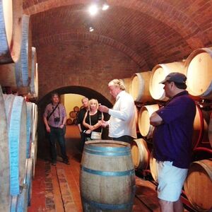 Veranstaltung: Montepulciano: Tour di degustazione in due cantine storiche, Siena Wine Tasting in Siena