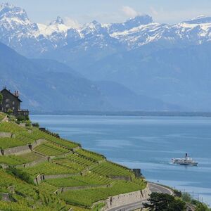 Veranstaltung: 3-Hour Roundtrip Cruise from Lausanne, Lausanne Lake Cruises in Montreux