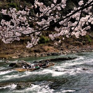 Veranstaltung: Hozugawa Private River Boat Ride, Hozugawa River Boat Ride in Kyoto