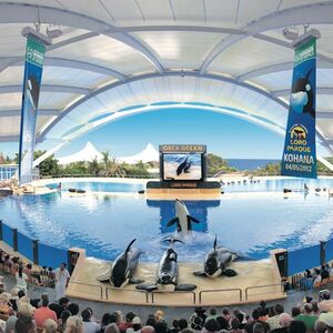 Veranstaltung: Loro Parque: Entrada, Loro Parque in Puerto de la Cruz