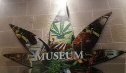 Veranstaltung: Hash Museum Barcelona: visita el museo dedicado al cannabis, Hash Museum Barcelona in Barcelona
