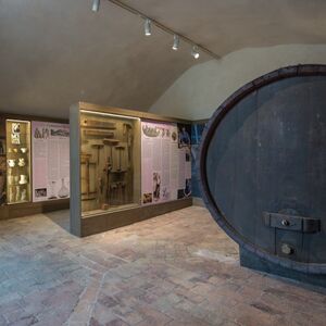 Veranstaltung: Musei del Cibo: Museo del Vino, Wine Museum Sala Baganza in Sala Baganza