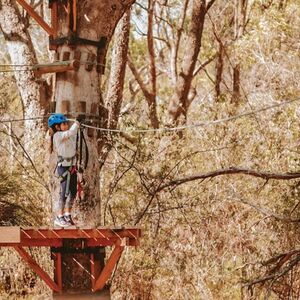 Veranstaltung: Yanchep: Treetops Adventure, Treetops Adventure Yanchep in Yanchep