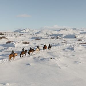 Veranstaltung: Horseback Riding with Icelandic Horses through the Lava Fields of Hafnarfjörður, Iceland Adventure Tours in Reykjavík