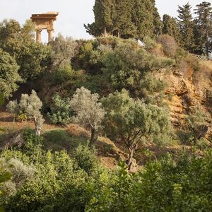 Veranstaltung: Giardino della Kolymbethra e Ipogeo: Tour Guidato, Kolymbethra Garden in Agrigento