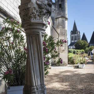 Veranstaltung: Cité royale de Loches : Billet d'entrée + Audioguide, Royal City of Loches in Loches