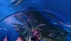 Event: SEA LIFE Arizona: Entry Ticket, SEA LIFE Arizona in Tempe