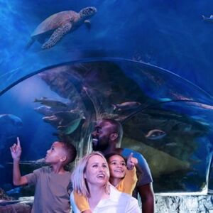 Veranstaltung: SEA LIFE Aquarium at American Dream: General Admission, Sea Life Aquarium - New Jersey in East Rutherford