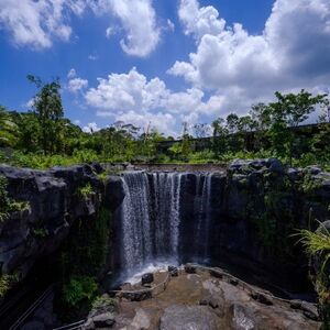 Veranstaltung: Singapore Bird Paradise, Bird Paradise Singapore in Singapore