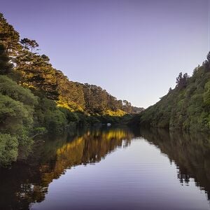 Veranstaltung: Zealandia - Twilight Guided Eco Wildlife Tour, 53 Waiapu Road in Wellington