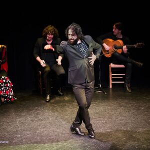 Veranstaltung: Espectáculo de flamenco en el Teatro Triana, Teatro Flamenco Triana in Sevilla