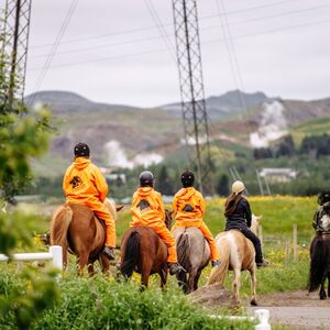 Veranstaltung: Iceland: Horseback Riding - Heritage Tour, Iceland Wildlife Experiences in Reykjavík