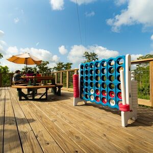 Veranstaltung: New Orleans: Guided Swamp Zipline Tour, Zip NOLA in Laplace