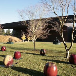 Veranstaltung: de Young Museum: Entry Ticket, de Young Museum in San Francisco